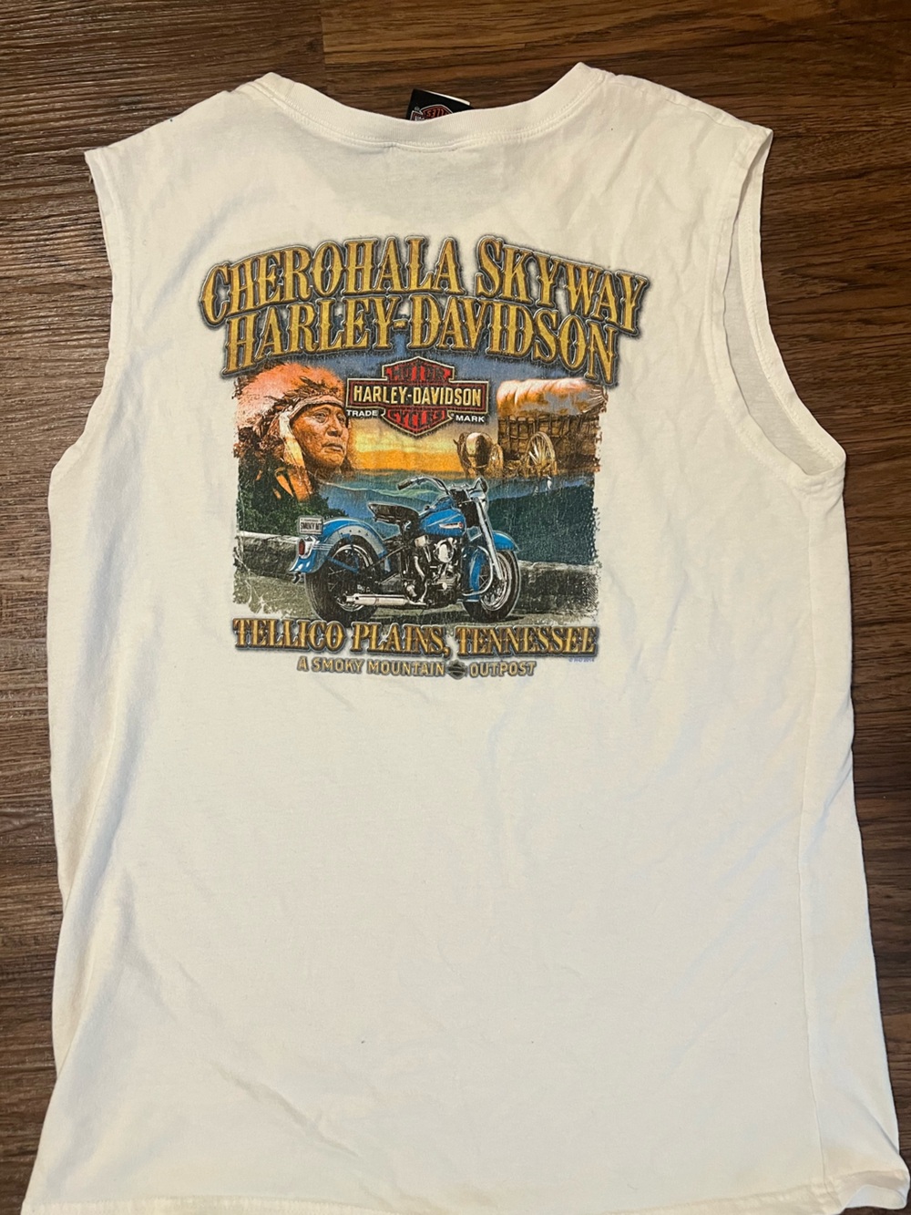 Vintage Harley-Davidson White Tee with Graphic Tennessee L Smokey mountains